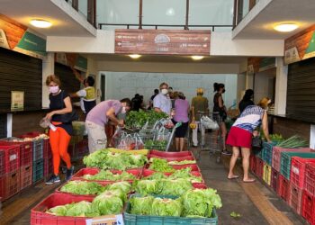 Com ações virtuais, confira a agenda cultural de Fortaleza para a primeira semana de fevereiro