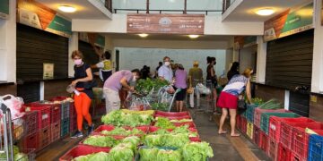 Com ações virtuais, confira a agenda cultural de Fortaleza para a primeira semana de fevereiro