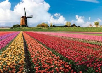 Jardins de Keukenhof reabrem em 24 de março