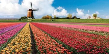 Jardins de Keukenhof reabrem em 24 de março