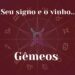 Seu signo e o vinho: Gêmeos