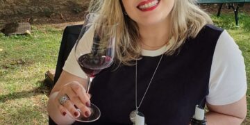 Conheça os principais tipos de vinho e as diferenças entre eles
