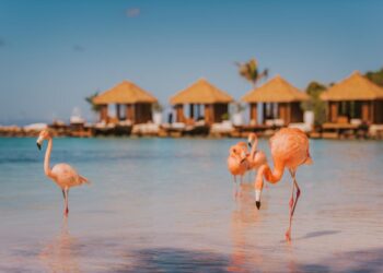 Turismo em Aruba: todos os protocolos de entrada já foram suspensos