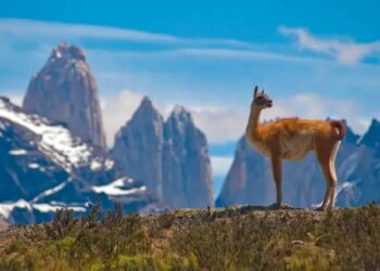 Chile facilita entrada de turistas a partir de setembro
