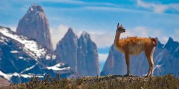 Chile facilita entrada de turistas a partir de setembro