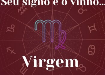 Seu signo e o vinho: Virgem