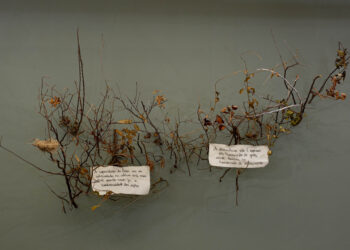 MAC Ceará abre exposição com obras de mais de 80 artistas cearenses