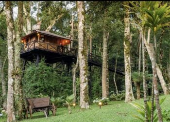 Aluguel por temporada é uma tendência para 2023, conforme Decolar