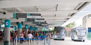 Perdeu documento em transportes coletivos e táxis? Confira as orientações da Etufor