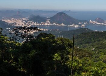 RedeTrilhas recebe prêmio internacional