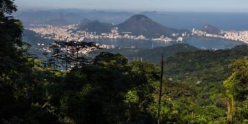 RedeTrilhas recebe prêmio internacional