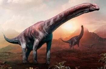 Parque temático de dinossauros será construído em Caucaia