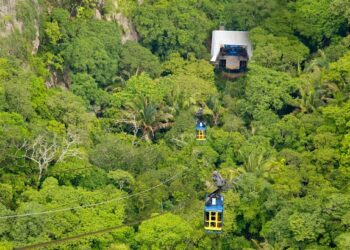Bondinho de Ubajara alcança a marca de 100 mil usuários transportados