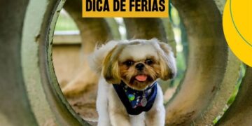 Dica de férias Pet Friendly em Fortaleza: conheça o Parque Bisão