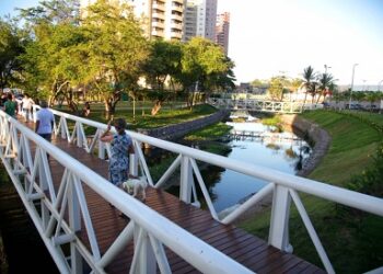 Fortaleza amplia cobertura vegetal em mais de 230 mil novas árvores