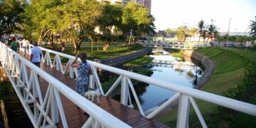 Fortaleza amplia cobertura vegetal em mais de 230 mil novas árvores