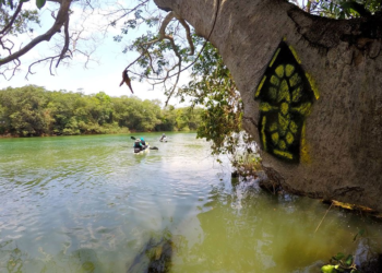 VemTambém conhecer a maior trilha aquática do Brasil