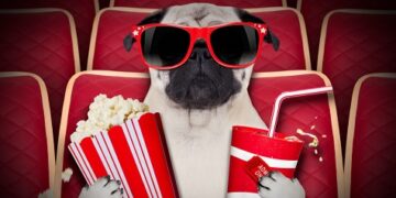 Cinema de São Paulo lança sessão Pet Friendly